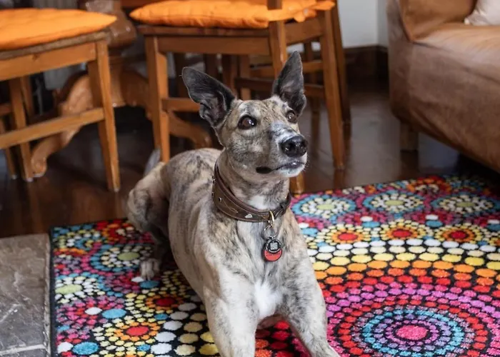 Woodland House By Cliftonvalley Будинок відпочинку Бристоль